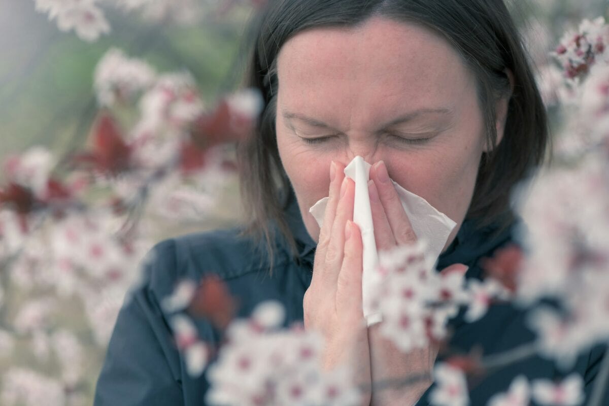 Allergie aux pollens d'arbres au printemps