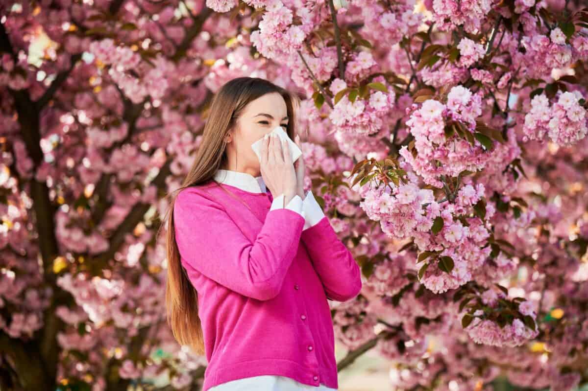 Femme allergique souffrant d'une allergie saisonnière au printemps, éternuant, se mouchant avec un mouchoir.