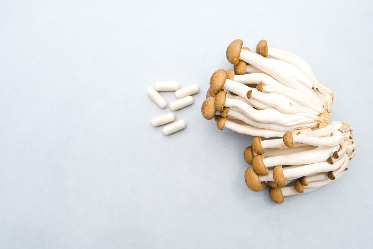 Nombreux champignons shiitaki médicinaux et pilules contenant des ingrédients de champignons sur fond clair.