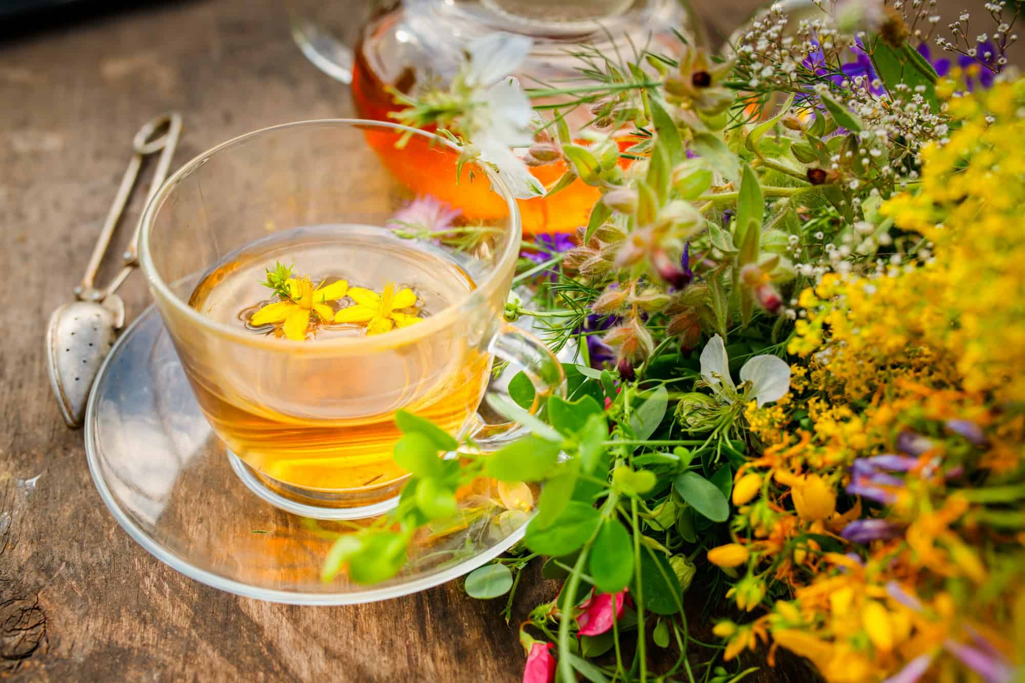 Tisane d'été dans une théière en verre et bouquets d'herbes médicinales sur une planche en bois